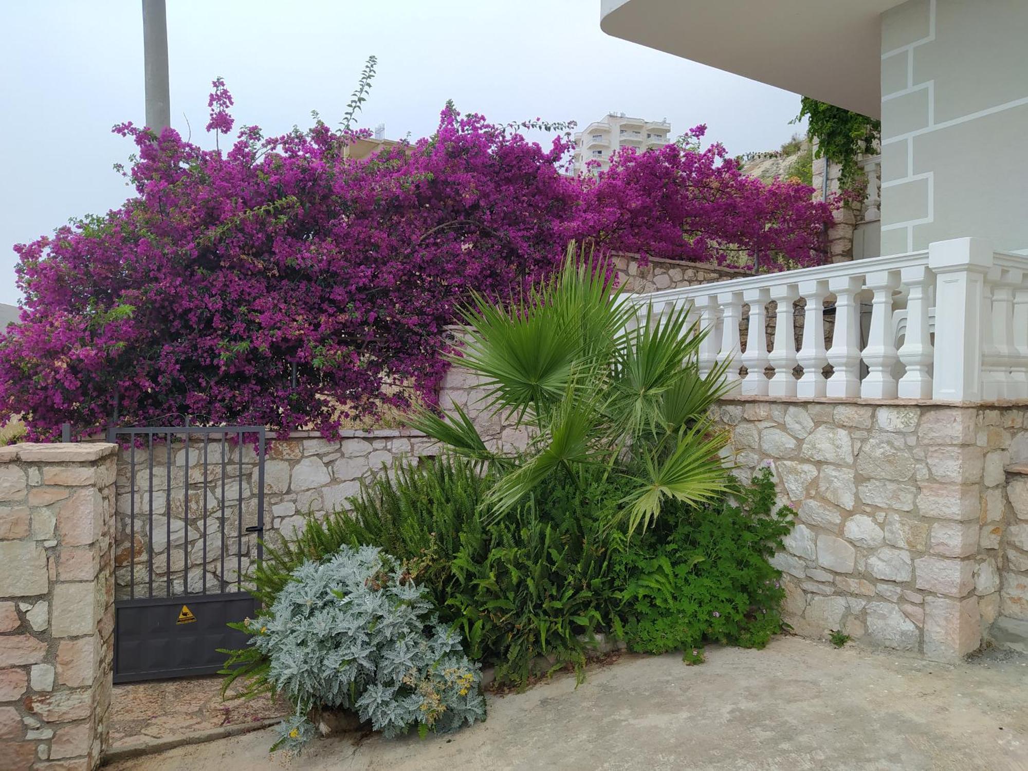 Alimema * Sarande