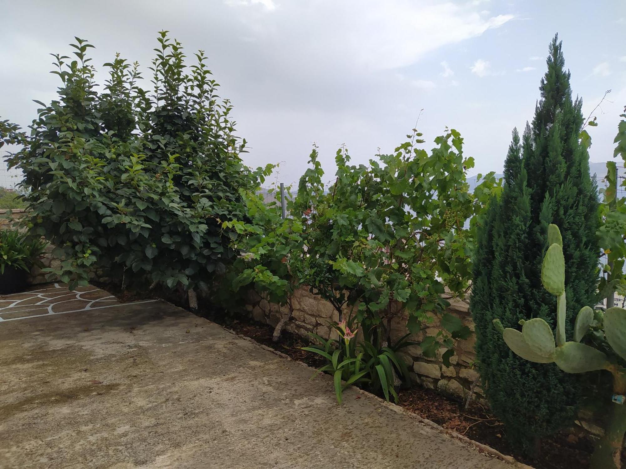 Villa Alimema